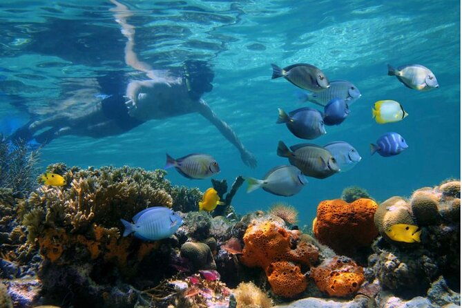 negril-glass-bottom-boat-tour-snorkeling-and-booby-cay