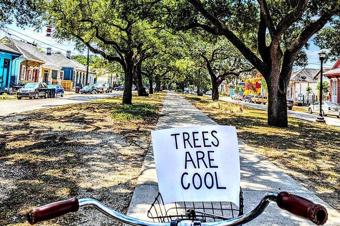 new-orleans-creole-history-and-culture-ride