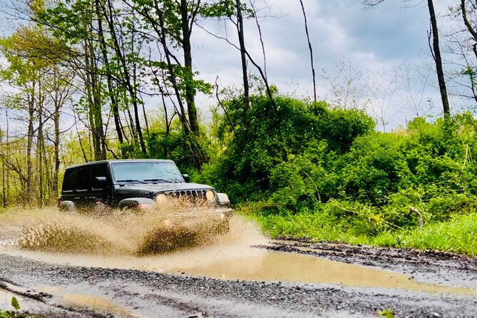 new-river-gorge-jeep-tour-half-day