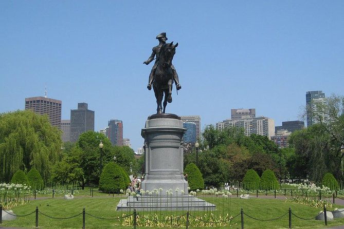 new-york-to-boston-and-harvard-in-one-day