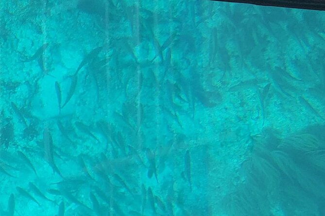 night-tour-glass-bottom-boat-in-islamorada