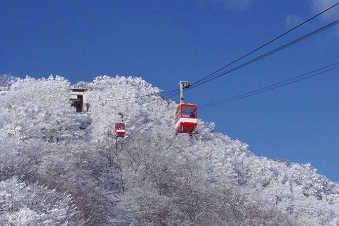 nikko-full-day-customize-private-tour