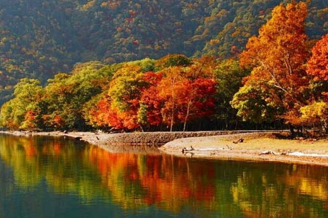 nikko-private-tour-by-car-with-english-speaking-chauffeur