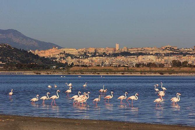 nora-tour-from-cagliari