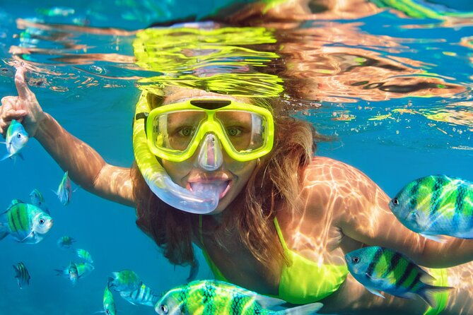 north-bay-snorkel