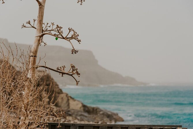 north-central-fuerteventura-tour-with-photo-shoot