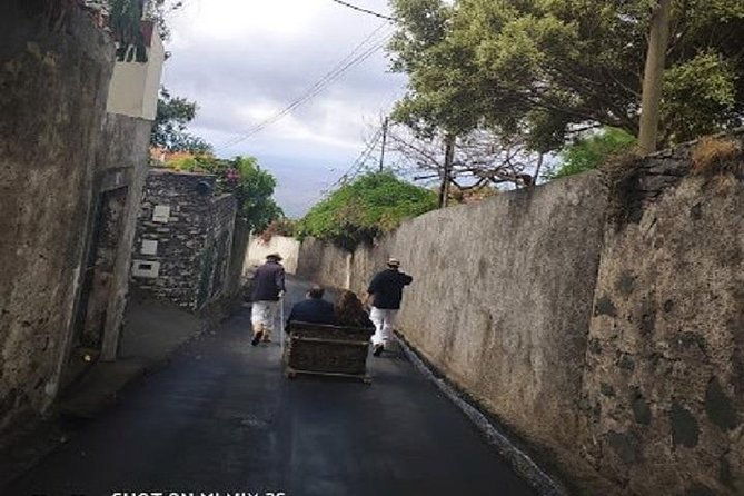 nuns-valley-monte-with-sledge-ride
