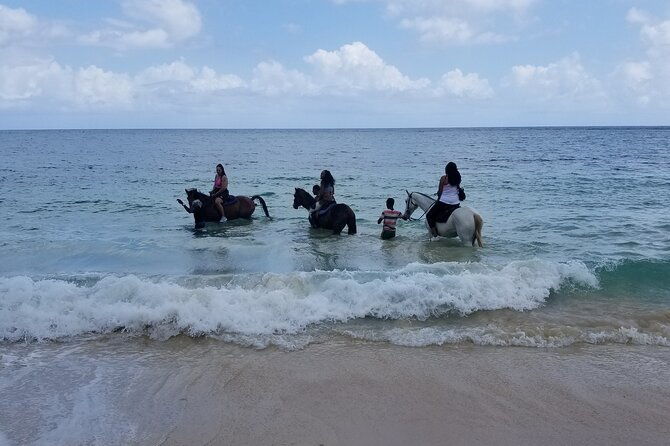 ocho-rios-private-horse-riding-river-tubing-and-raftingentry-fee-not-included