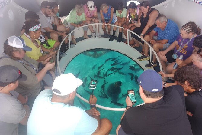 oculus-glass-bottom-boat-tour