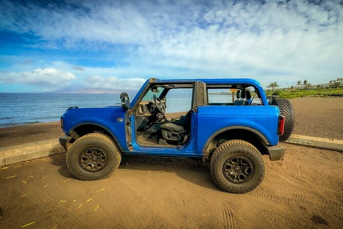 off-road-coastal-tour-4x4-vehicle-with-snorkel-photo-and-video