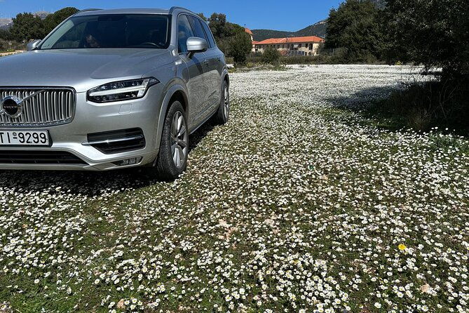 off-road-wine-fiesta-at-cephalonia