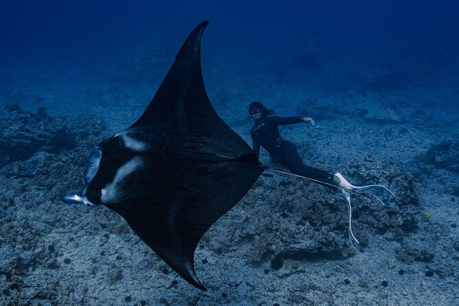 offshore-safari-adventure-in-kona-with-underwater-photos