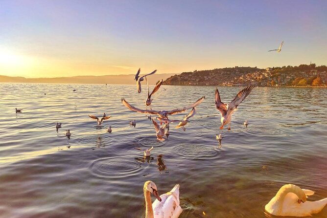 ohrid-one-day-trip-from-pristina