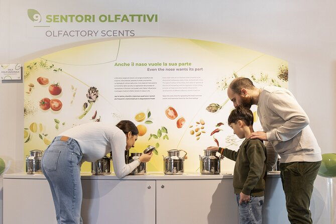 oil-museum-and-oil-mill-in-tuscany-tour-and-tasting-2