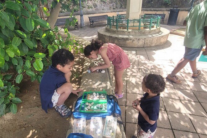 old-san-juan-family-fun-tour-science-history-yummy-treats