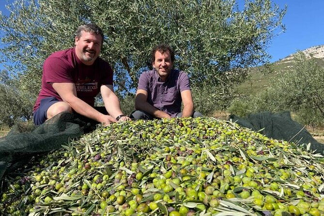 olive-oil-tour-tasting-with-sommelier-kalentzi-athens-daytrip-2