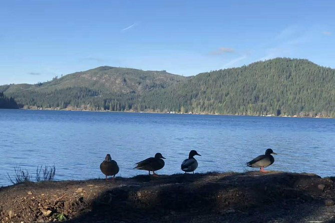 olympic-national-park-full-day-tour-w-scenic-state-ferries