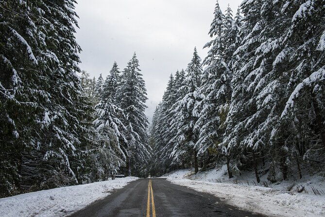 olympic-national-park-self-guided-driving-audio-tour-2