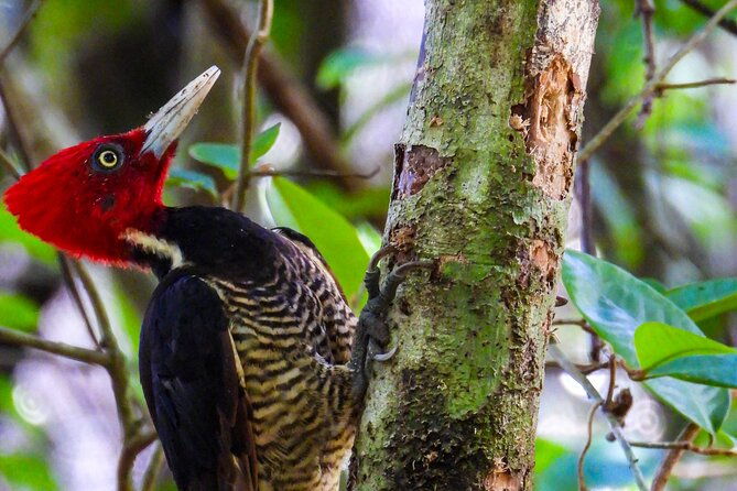 one-day-adventure-in-corcovado-national-park