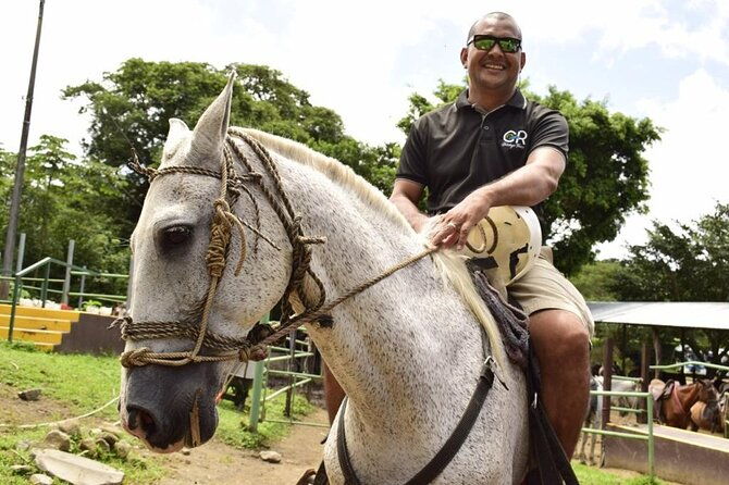one-day-combo-tour-zipline-horseback-riding-host-springs-family-packages