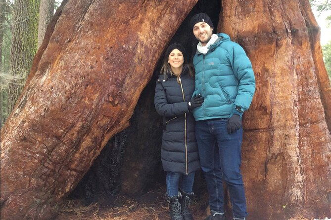 one-day-in-yosemite-private-touryosemite-valley-glacier-point-giant-sequoias-2