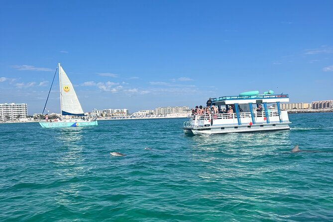 one-hour-harbor-shared-tour-with-dolphin-watching