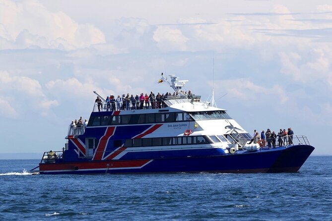 only-wildlife-and-whale-watching-tour-leaving-from-seattle