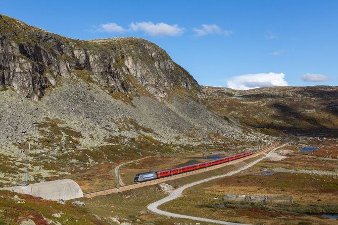 oslo-to-sognefjord-private-full-day-roundtrip-including-flam-railway
