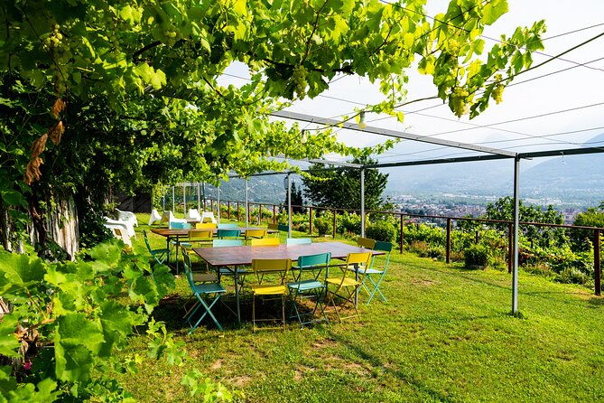 ossola-valley-winery-tour-with-tastings-2