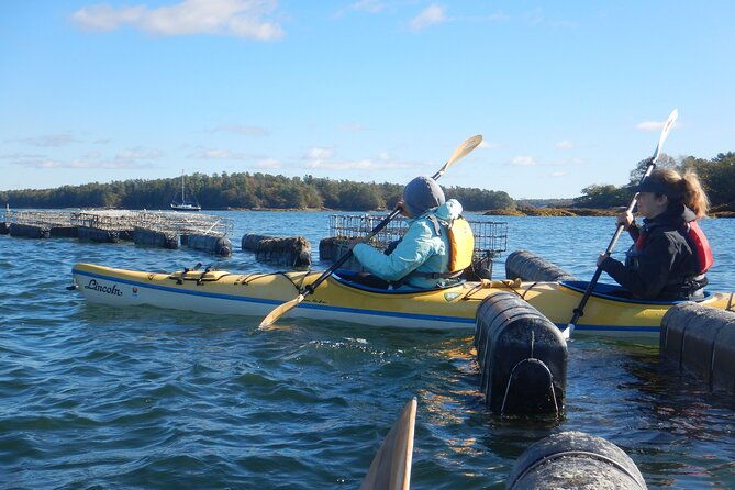 oyster-farm-complimentary-tasting-sea-kayak-tour-in-casco-bay-2