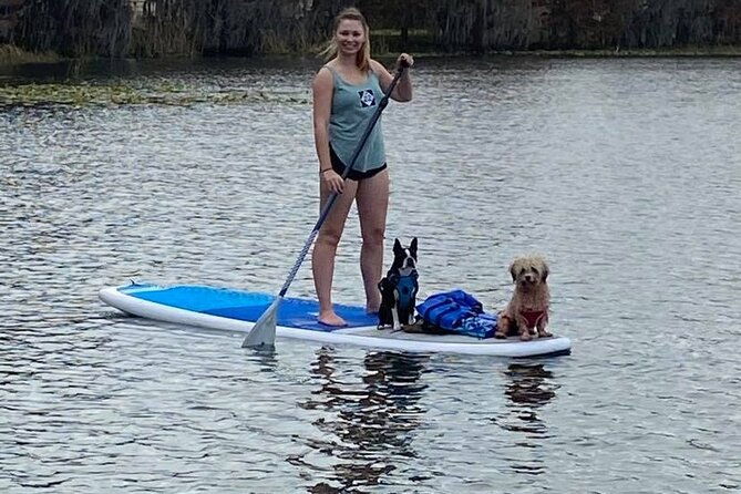paddle-with-pups-in-paradise-paddleboard-or-kayak