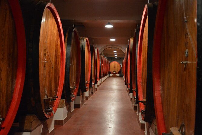 pagus-wine-tours-soave-and-amarone-half-day-wine-tour