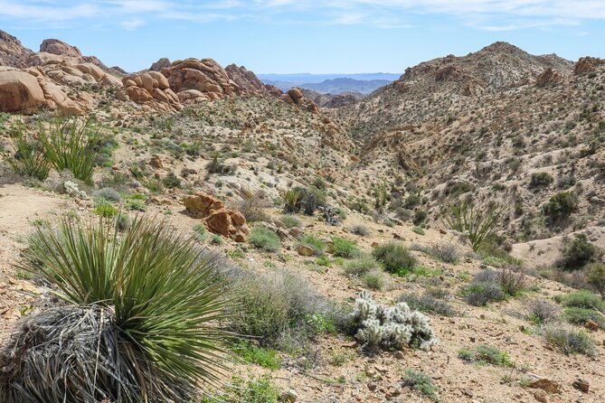 palm-springs-and-joshua-tree-self-guided-driving-audio-tours