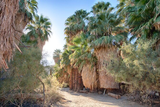 palm-springs-self-guided-driving-audio-tour