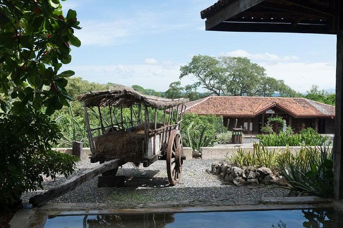 palo-verde-jungle-tour