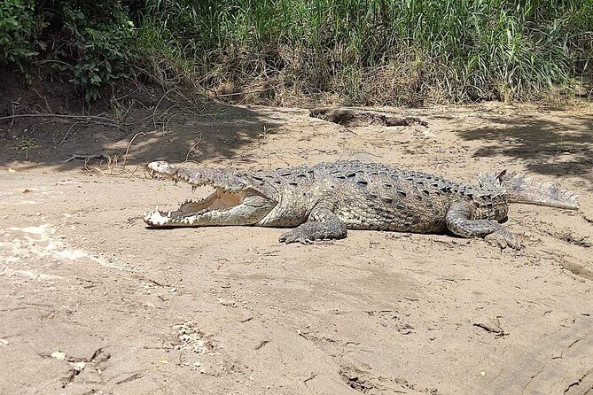 palo-verde-wetlands-full-experience