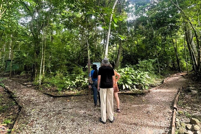 panama-city-metropolitan-park-trail-tour