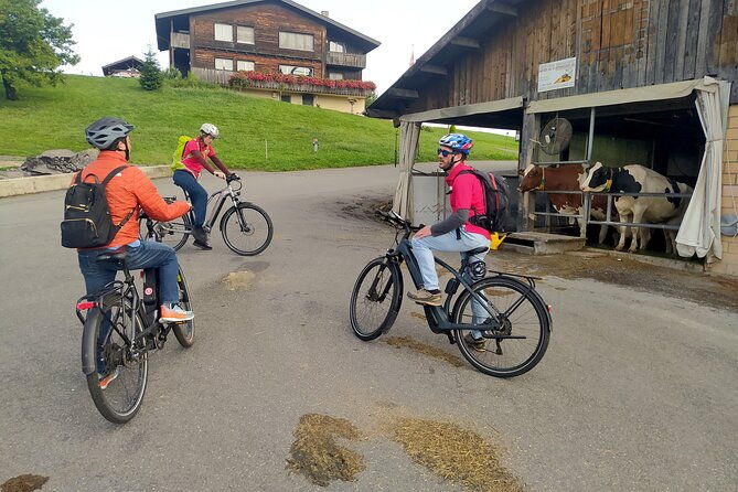 panoramic-e-bike-tour-with-a-lake-cruise-2