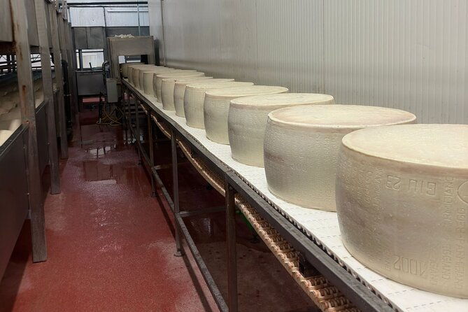 parmesan-and-balsamic-food-tour-with-ferrari-museum