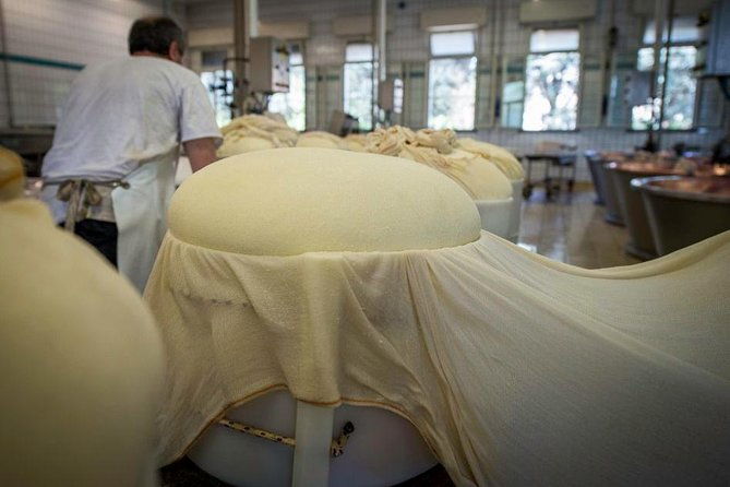 parmigiano-reggiano-cheese-factory-tour-tasting-experience