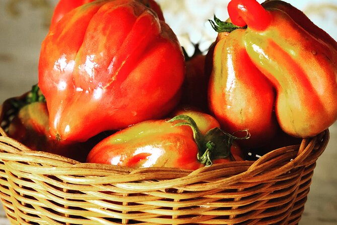 pasta-and-pizza-cooking-class-in-cortona