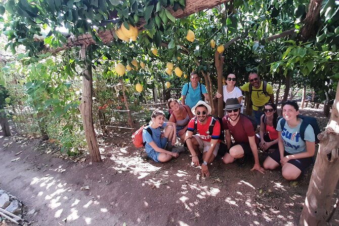 path-of-the-lemons