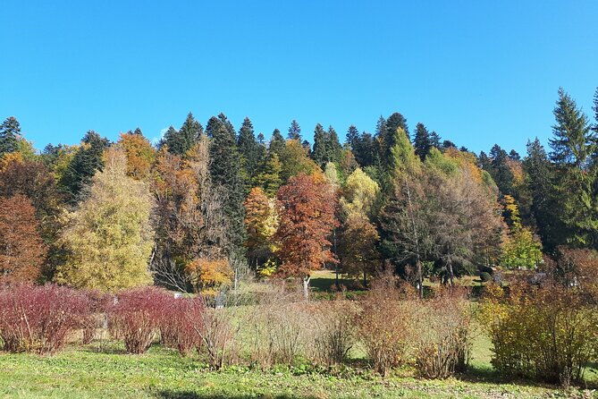 peles-castle-and-optional-cantacuzino-castle-from-brasov