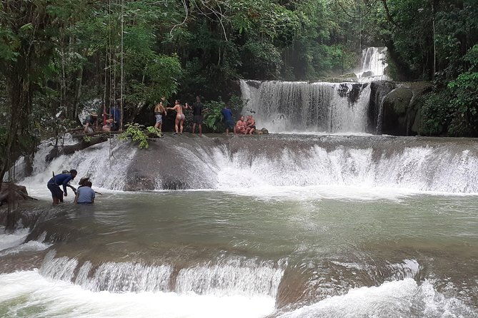 pelican-bar-south-coast-experience-appleton-rum-tour-and-ys-falls