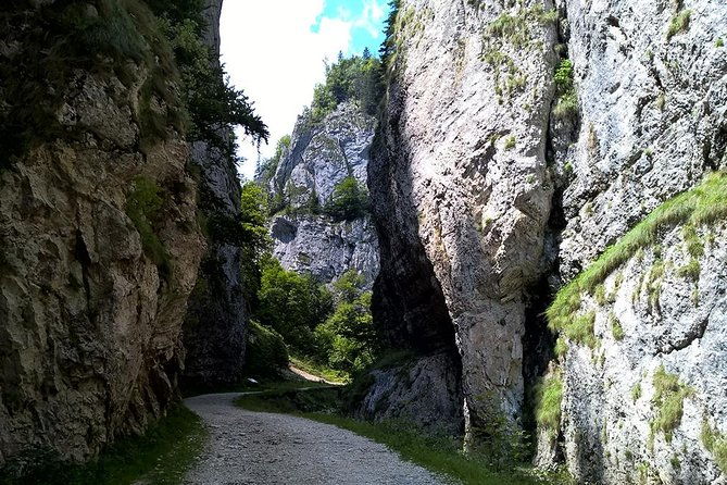 perfect-bike-tour-around-brasov