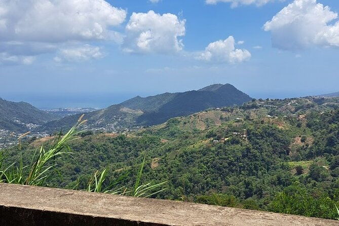 personalized-private-tour-the-paramin-hills