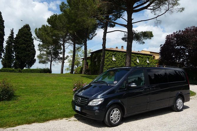 pienza-montalcino-brunello-wine-and-pecorino-cheese-private-tour-from-florence-2
