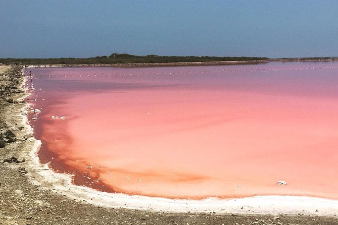 pink-sea-of-galerazamba