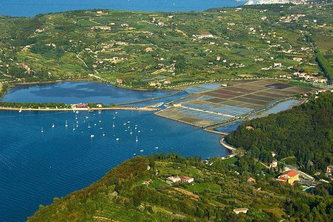 piran-and-scenic-slovenian-coast-private-experience-from-koper