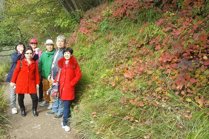 plitvice-lakes-and-rastoke-private-day-tour-from-zagreb